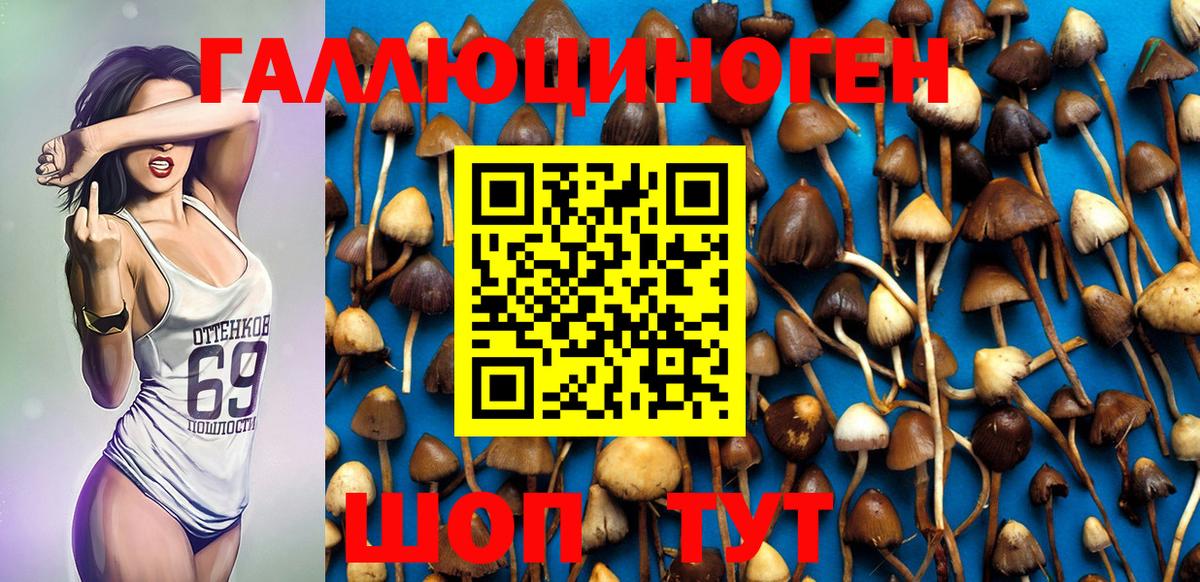 Галлюциногенные грибы GOLDEN TEACHER Саров