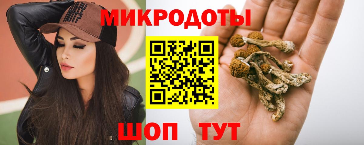 Галлюциногенные грибы Psilocybe  Вход с VPN  Саров 