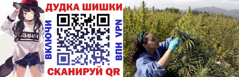 Бошки Шишки гибрид закладки Саров